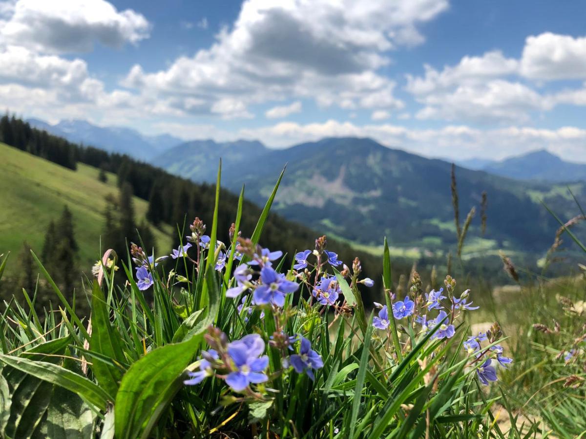 Bergquell Tirol Daire Jungholz Dış mekan fotoğraf